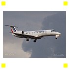 ERJ 135