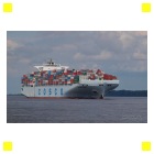 M/S COSCO ASIA