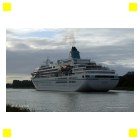 MS AMADEA